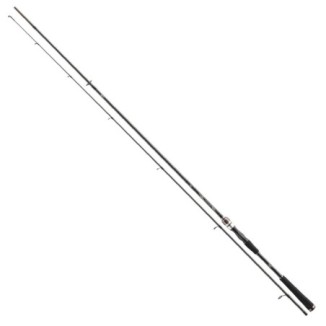 Spiningas Daiwa Exceler Jigger