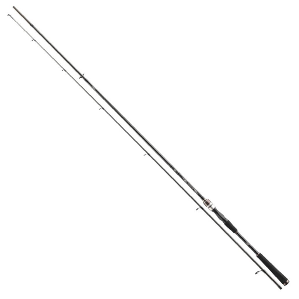 Spiningas Daiwa Exceler Jigger
