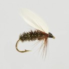 Muselė Turrall Wet Winged Coachman Muselė Turrall Wet Winged Coachman