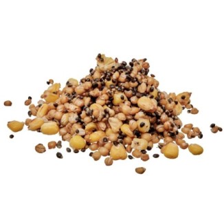 Priedas jaukui Starbaits Ready Seeds Demon Spod Mix
