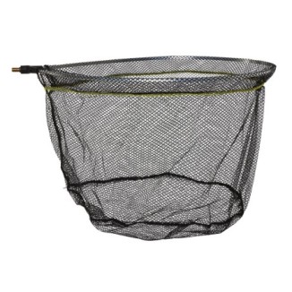 Graibšto galva Salmo