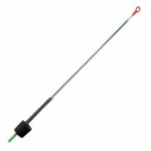 Sargelis metalinis Salmo Sargelis metalinis Salmo