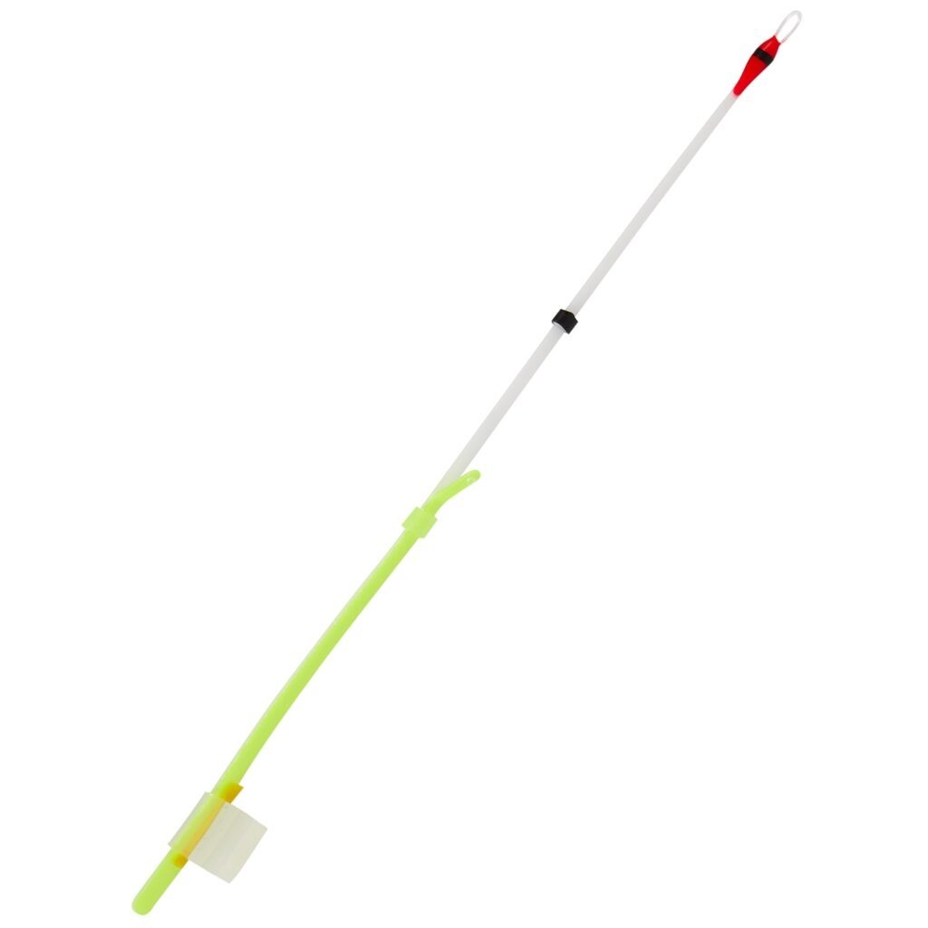 Sargelis lavsaninis Salmo Whitefish