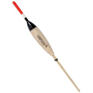 Plūdė Salmo Balsa