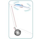 Svarelis Salmo LP Drop Shot Long