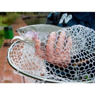 Graibštas Lucky John Area Trout Game