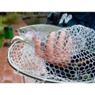 Graibštas Lucky John Area Trout Game