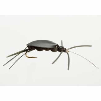 Muselė Turrall Cricket