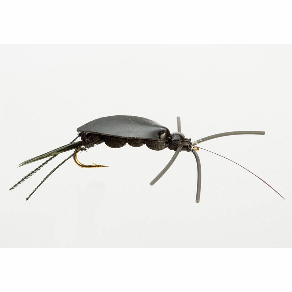 Muselė Turrall Cricket