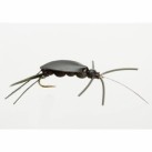 Muselė Turrall Cricket