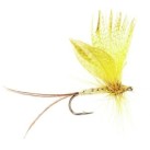 Muselė Turrall Yellow Drake Muselė Turrall Yellow Drake