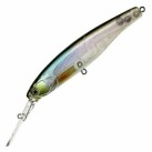 Ghost Minnow