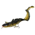 Burbot
