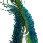 Plunksnos Turrall Peacock Sword Plunksnos Turrall Peacock Sword