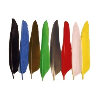 Plunksnos Turrall Duck Quills