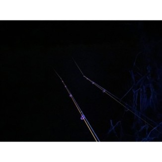 Žibintas ant galvos Anaconda Vipex UV-Blacklight