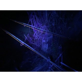 Žibintas ant galvos Anaconda Vipex UV-Blacklight