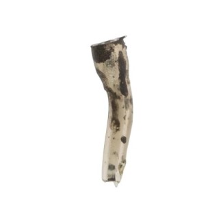Priedas sistemai Avid Line Aligners