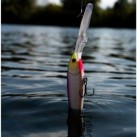 Vobleris Rapala Gold Miner 30 Vobleris Rapala Gold Miner 30