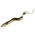 Dirty Eel