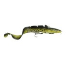 Burbot