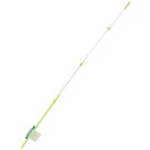 Sargelis lavsaninis Salmo Whitefish 1 Sargelis lavsaninis Salmo Whitefish 1