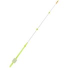 Sargelis lavsaninis Salmo Whitefish 1 Sargelis lavsaninis Salmo Whitefish 1