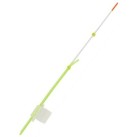 Sargelis lavsaninis Salmo Whitefish 2 Sargelis lavsaninis Salmo Whitefish 2