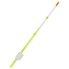 Sargelis lavsaninis Salmo Whitefish 2 Sargelis lavsaninis Salmo Whitefish 2