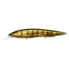 GG Perch