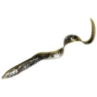 Lamprey