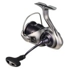 Ritė Daiwa 25 Caldia LT