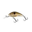 Pearl Shad