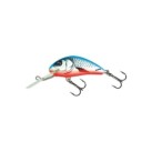 Dace Blue