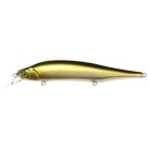Wakin Golden Shiner