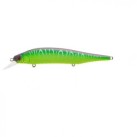 Mat Green Lizard