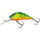 Hot Perch