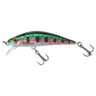 HL Rainbow Trout
