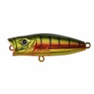 Gold Perch