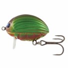  Green Bug