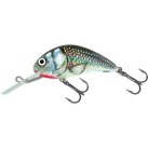 Holographic Grey Shiner
