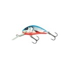 Dace Blue