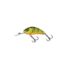 Hot Perch
