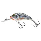 Silver Holographic Shad