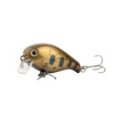 Copper Amago