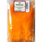 Oranžinė