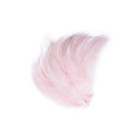 Shrimp Pink
