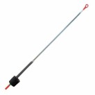 Sargelis metalinis Salmo Sargelis metalinis Salmo