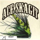 Valas muselinis Vision Ace Skagit Head