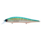 PM Megabass Hot Shad